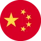 language flag icon