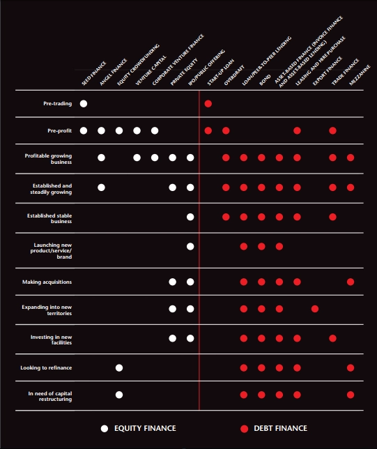 Sample Undergraduate Management Report