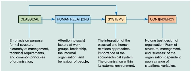 Sample Undergraduate HRM Coursework