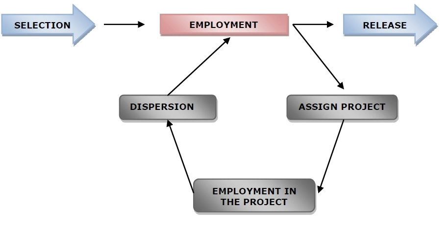 Source-Adapted-from-Crawford-et-al-2013