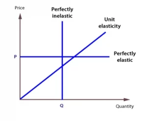 Cases of PES Economics Online 2016