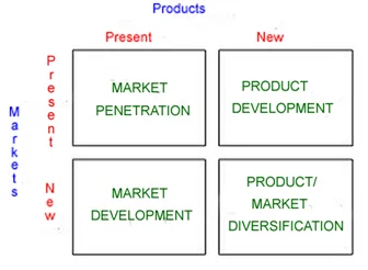 Strategy as a position – Ansoff Matrix as model of an effective strategic position