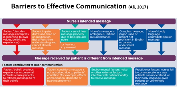 Sample Undergraduate Medicine Assignment