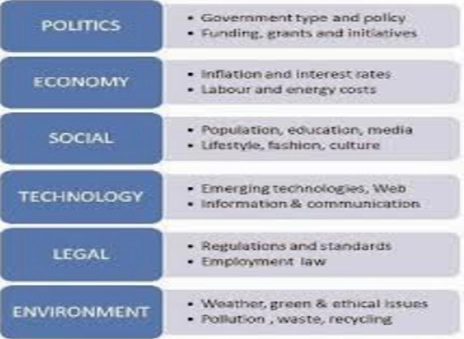 Sample Undergraduate Business Assignment