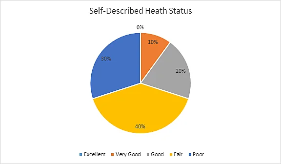 Self-described health status of Participant drivers