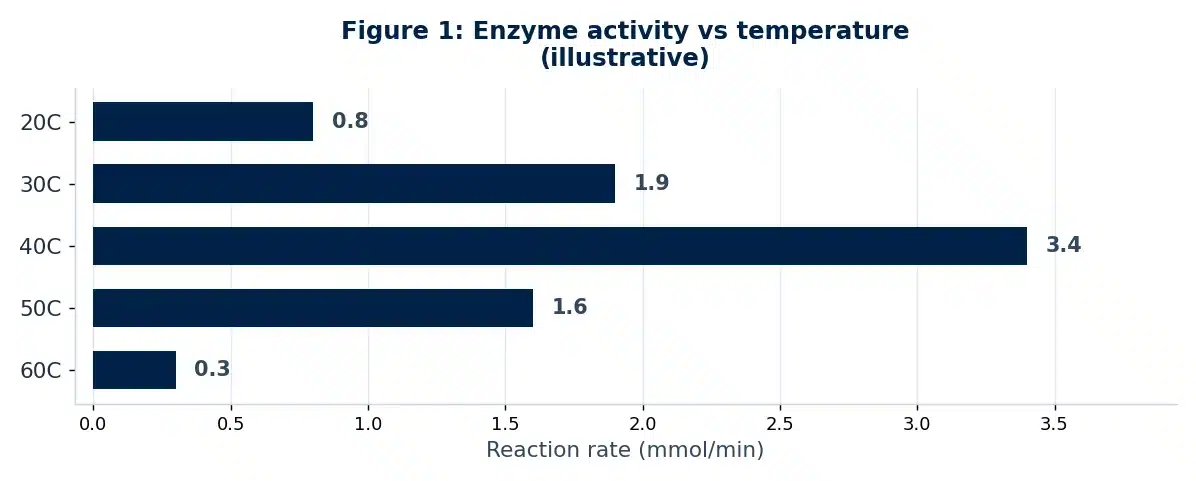 Results chart from this Biochemistry lab report example (Figure 1).